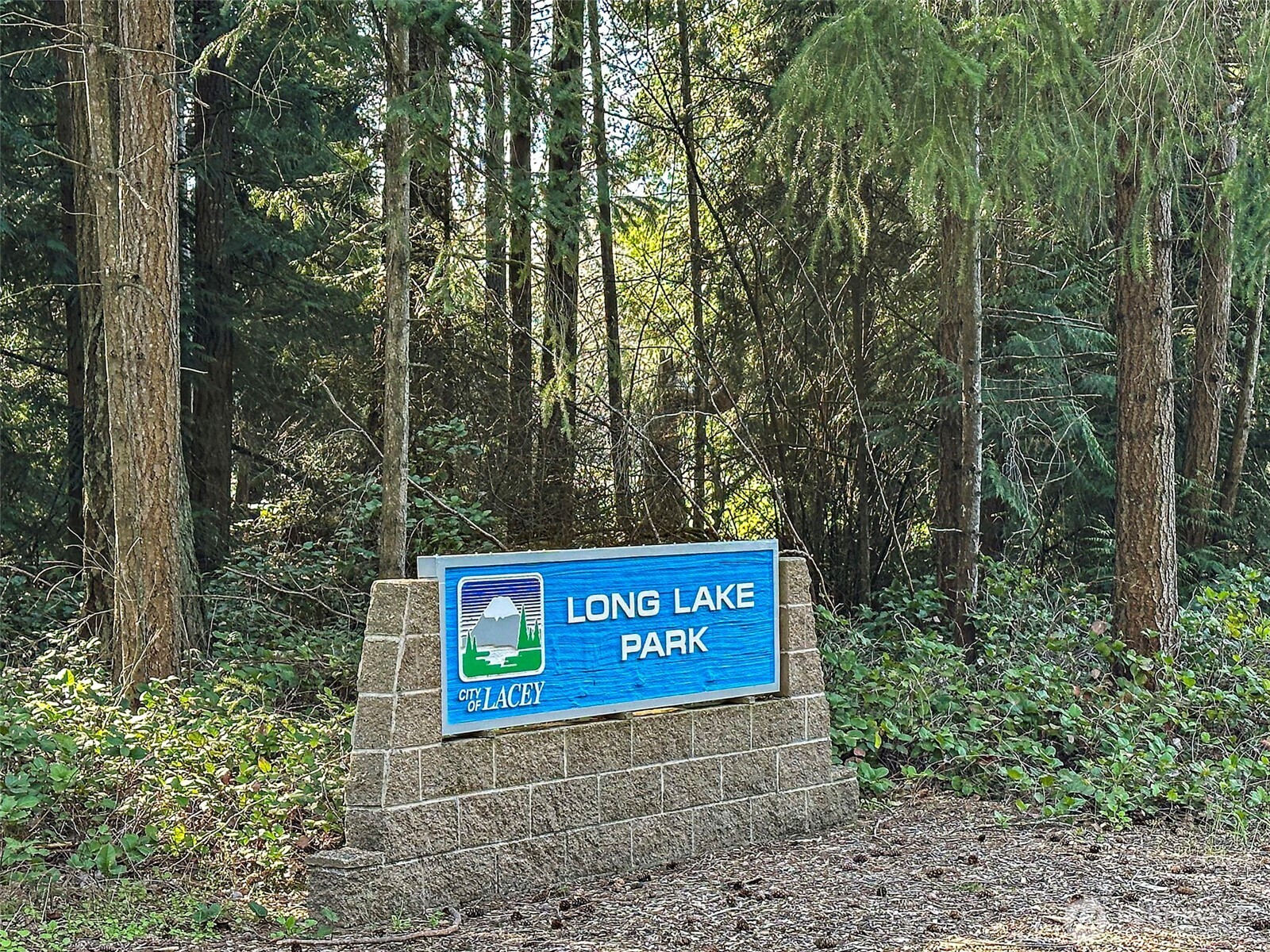 4317 Clearwater Loop SE, Lacey, WA 98503