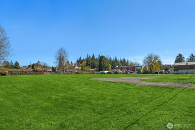 41 XX Tolt Avenue , Carnation, WA 98014 - Photo 9