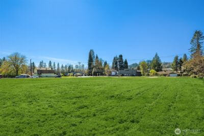 41 XX Tolt Avenue , Carnation, WA 98014 - Photo 10