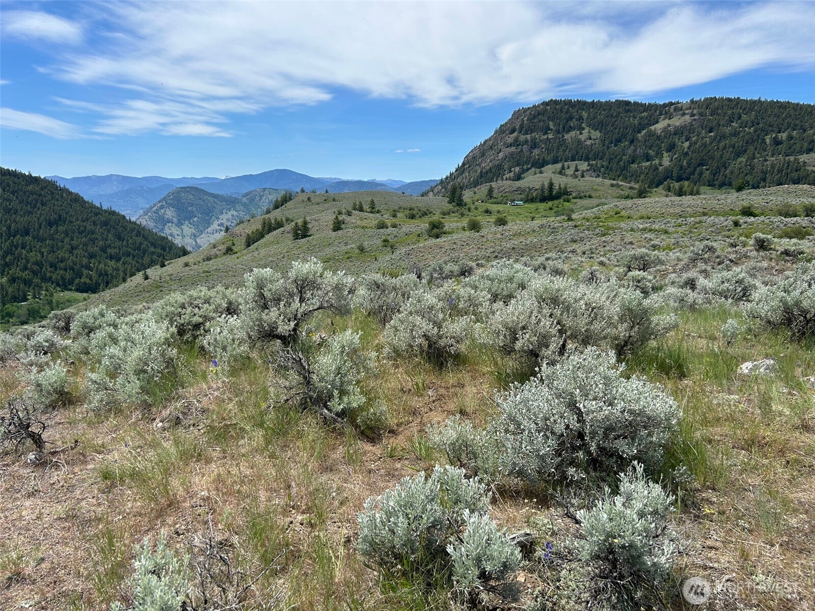 4 TBD Ellemeham Mountain Road , Oroville, WA 98844