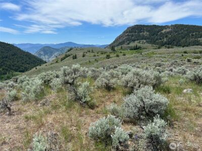 4 TBD Ellemeham Mountain Road , Oroville, WA 98844 - Photo 5
