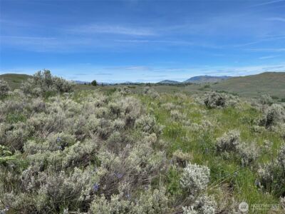 3 TBD Ellemeham Mountain Road , Oroville, WA 98844 - Photo 3