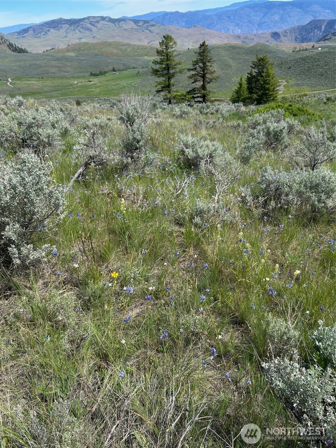 2 TBD Ellemeham Mountain Road , Oroville, WA 98844