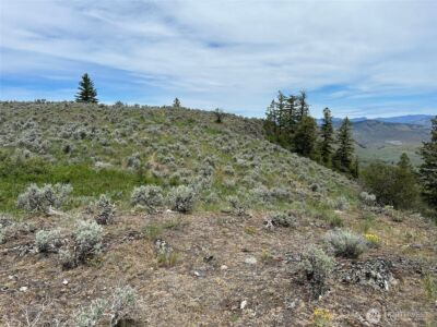 2 TBD Ellemeham Mountain Road , Oroville, WA 98844 - Photo 6