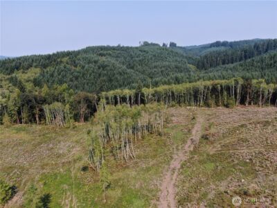 0 Cedar Creek Road , Oakville, WA 98568 - Photo 1