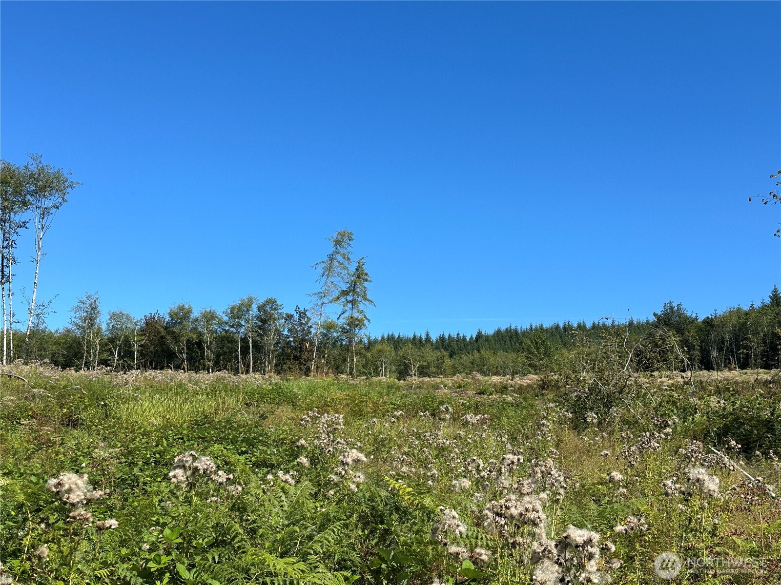 0 Cedar Creek Road , Oakville, WA 98568