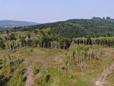 0 Cedar Creek Road , Oakville, WA 98568 - Photo 11