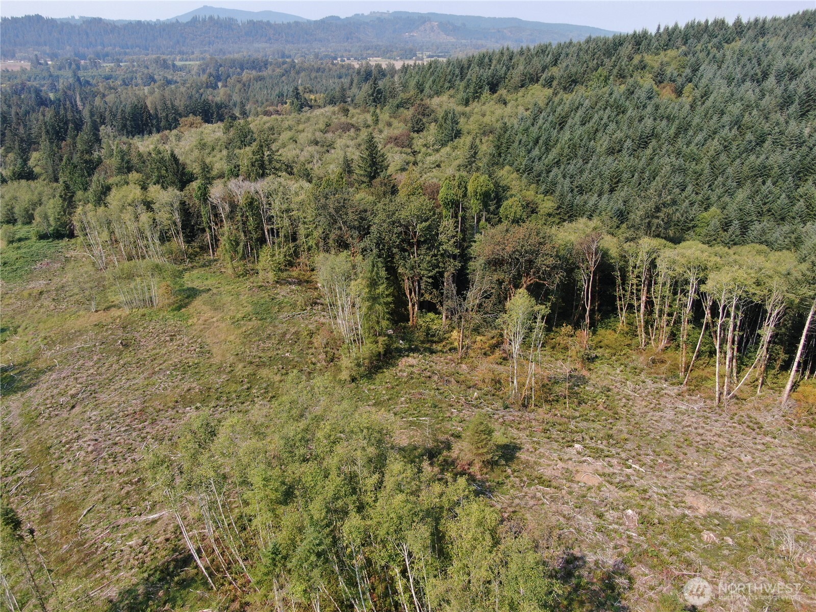 0 Cedar Creek Road , Oakville, WA 98568