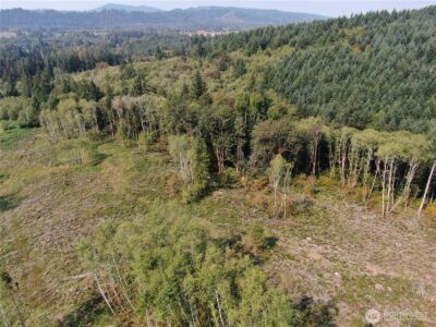 0 Cedar Creek Road , Oakville, WA 98568 - Photo 12