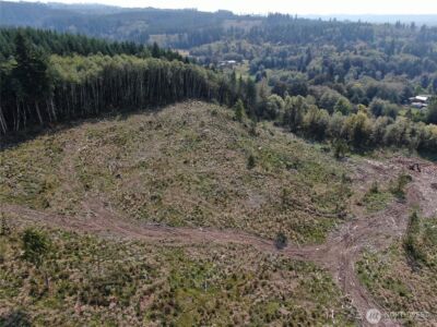 0 Cedar Creek Road , Oakville, WA 98568 - Photo 13