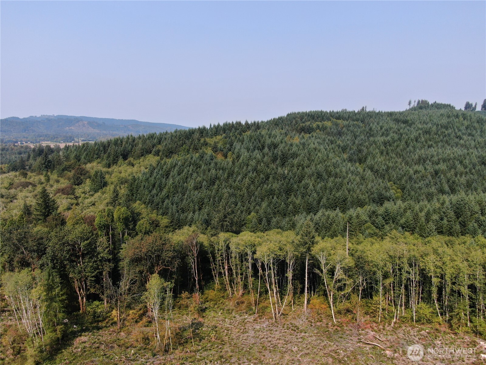 0 Cedar Creek Road , Oakville, WA 98568