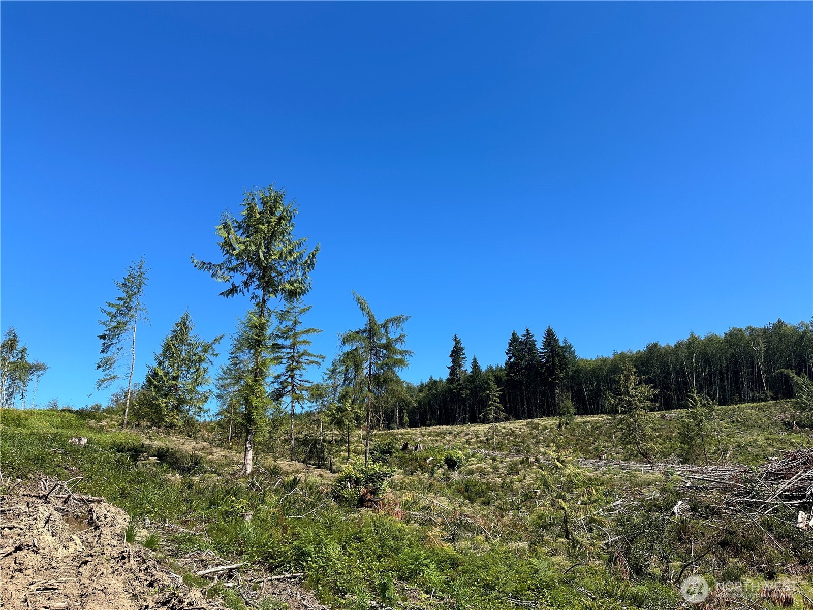 0 Cedar Creek Road , Oakville, WA 98568