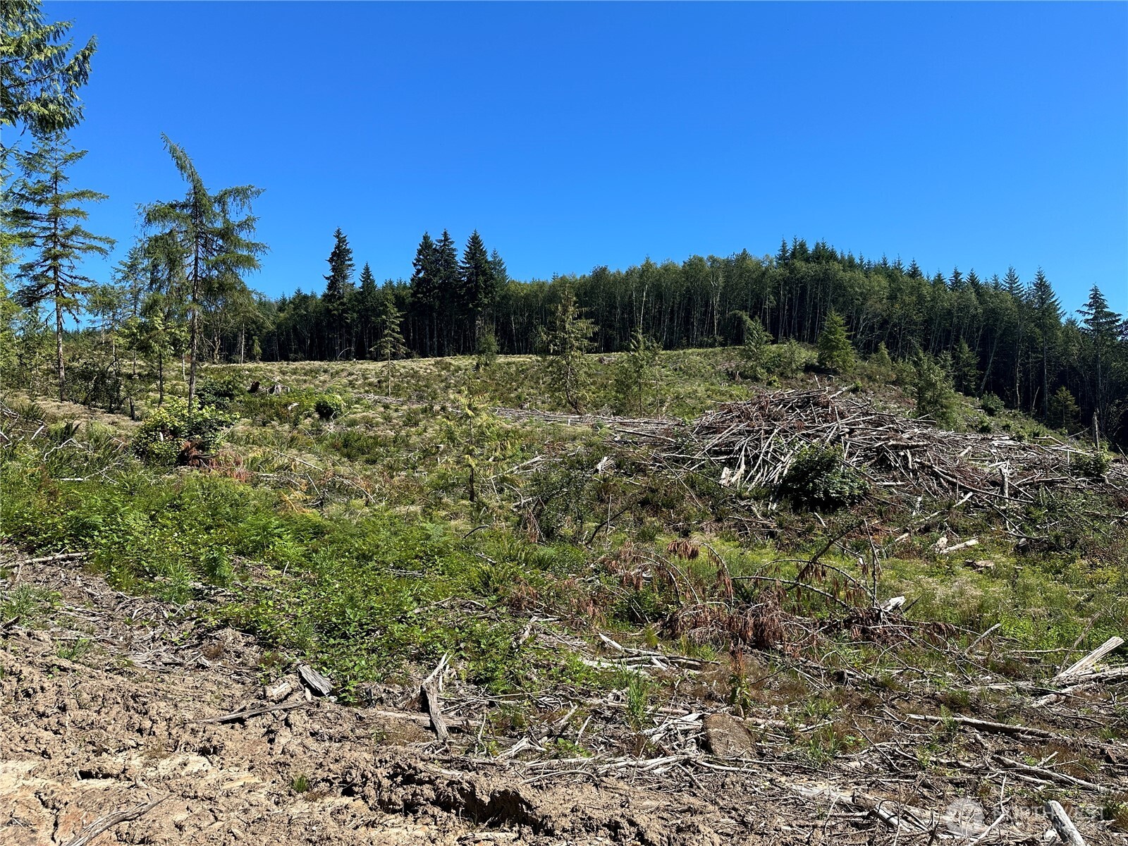 0 Cedar Creek Road , Oakville, WA 98568