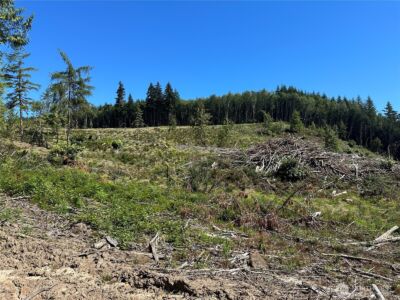 0 Cedar Creek Road , Oakville, WA 98568 - Photo 19