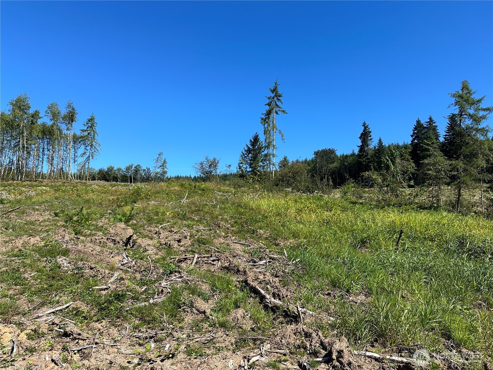 0 Cedar Creek Road , Oakville, WA 98568