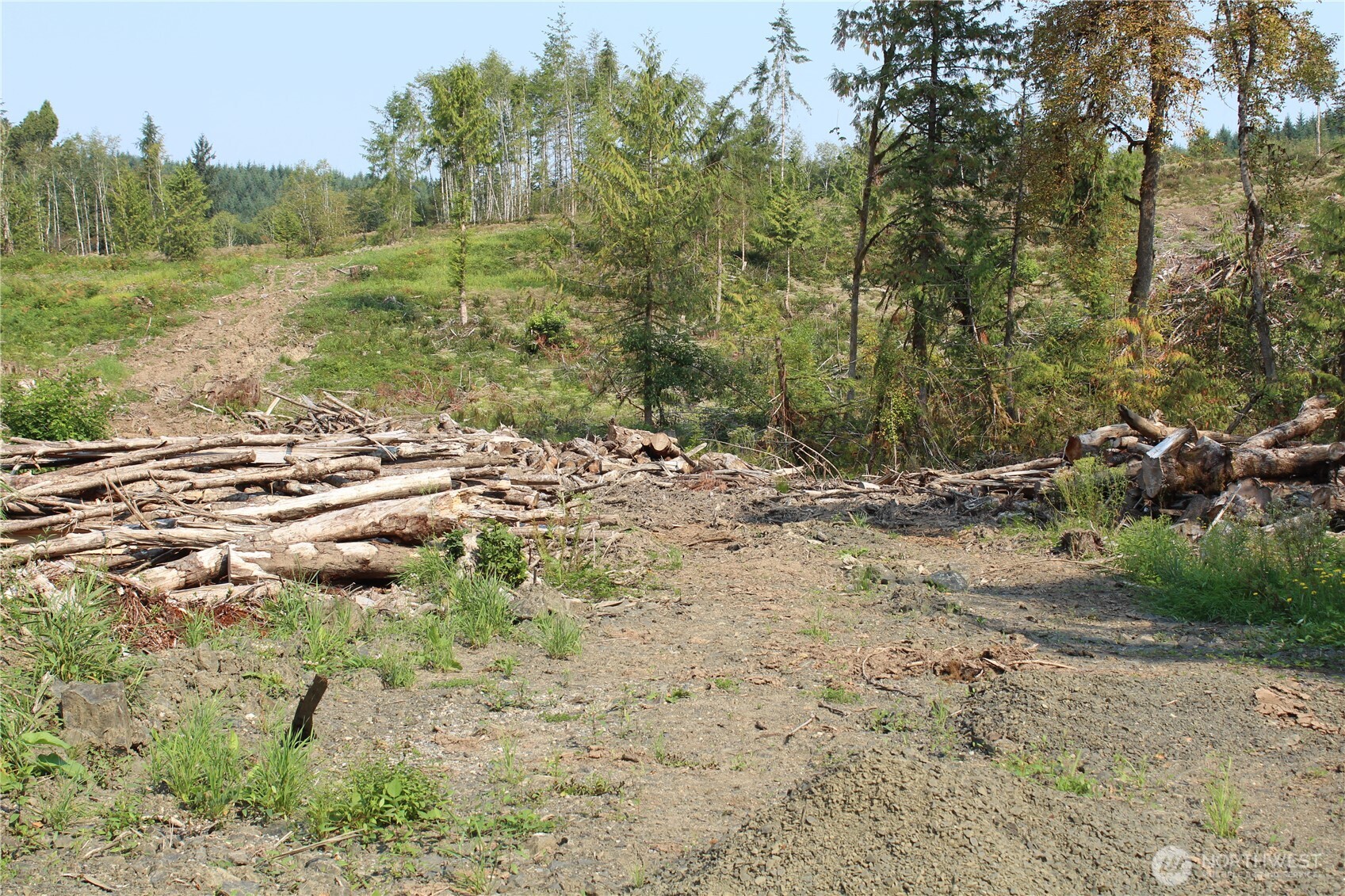 0 Cedar Creek Road , Oakville, WA 98568