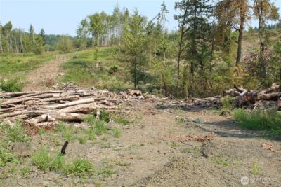 0 Cedar Creek Road , Oakville, WA 98568 - Photo 22