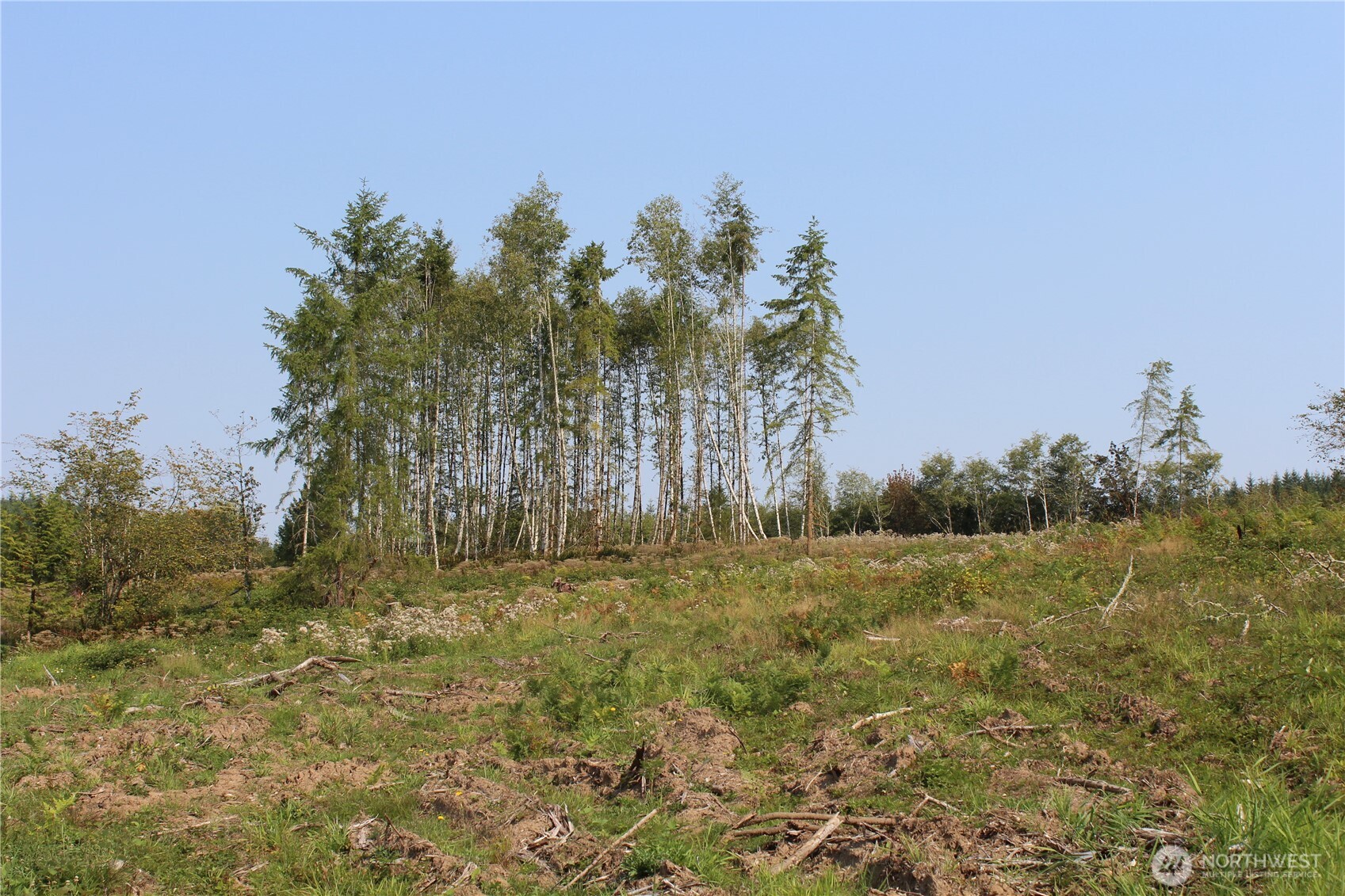 0 Cedar Creek Road , Oakville, WA 98568