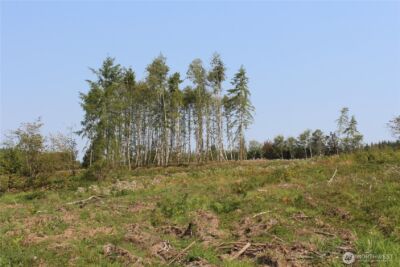 0 Cedar Creek Road , Oakville, WA 98568 - Photo 24