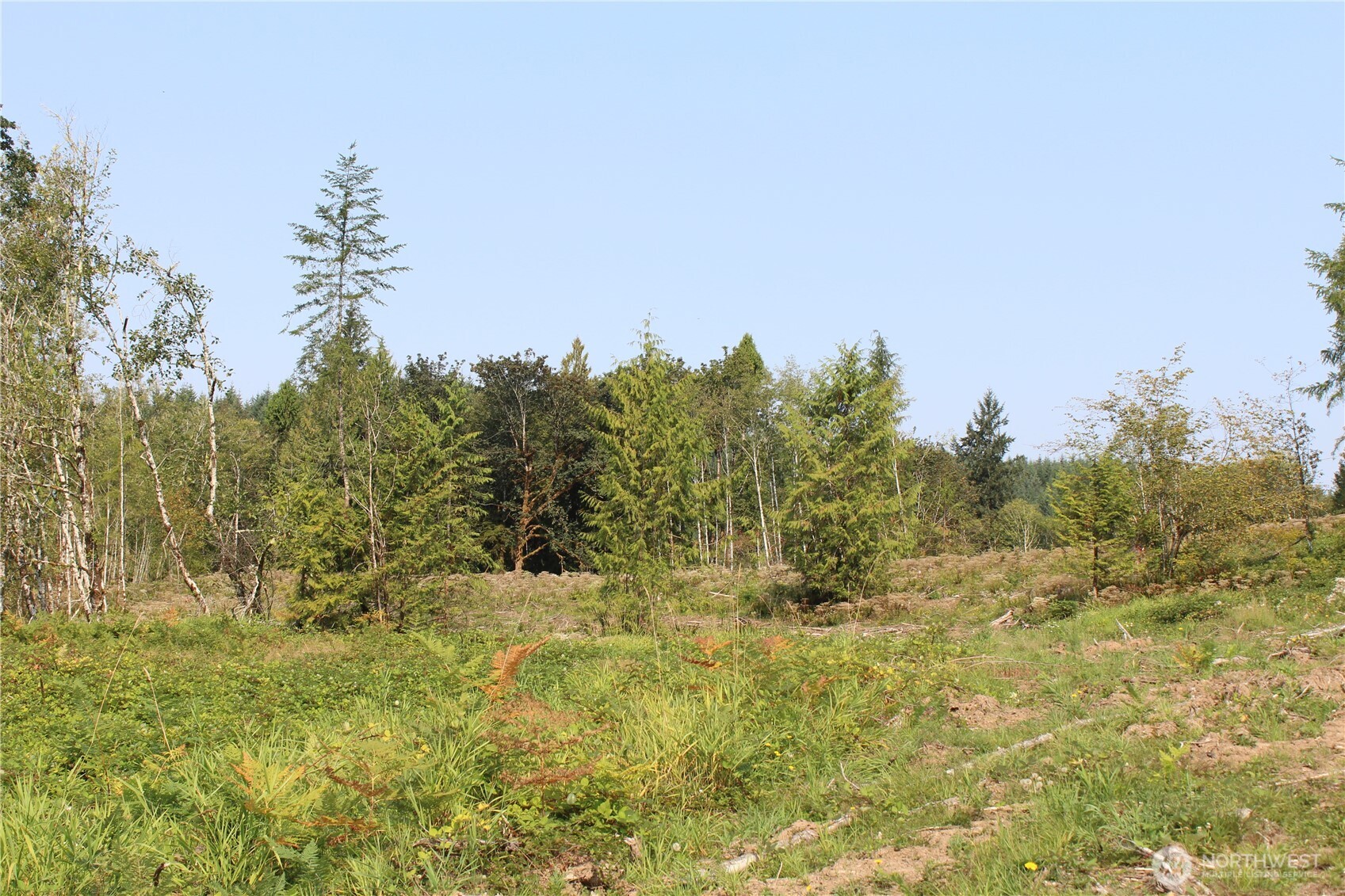 0 Cedar Creek Road , Oakville, WA 98568