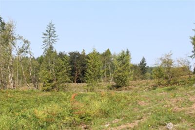 0 Cedar Creek Road , Oakville, WA 98568 - Photo 25