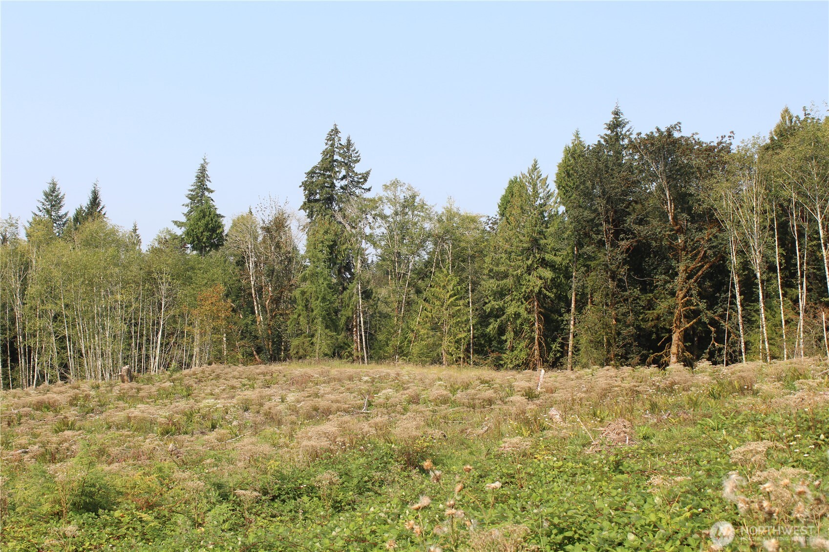 0 Cedar Creek Road , Oakville, WA 98568