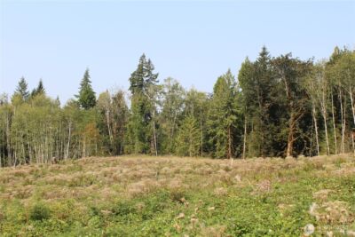 0 Cedar Creek Road , Oakville, WA 98568 - Photo 26