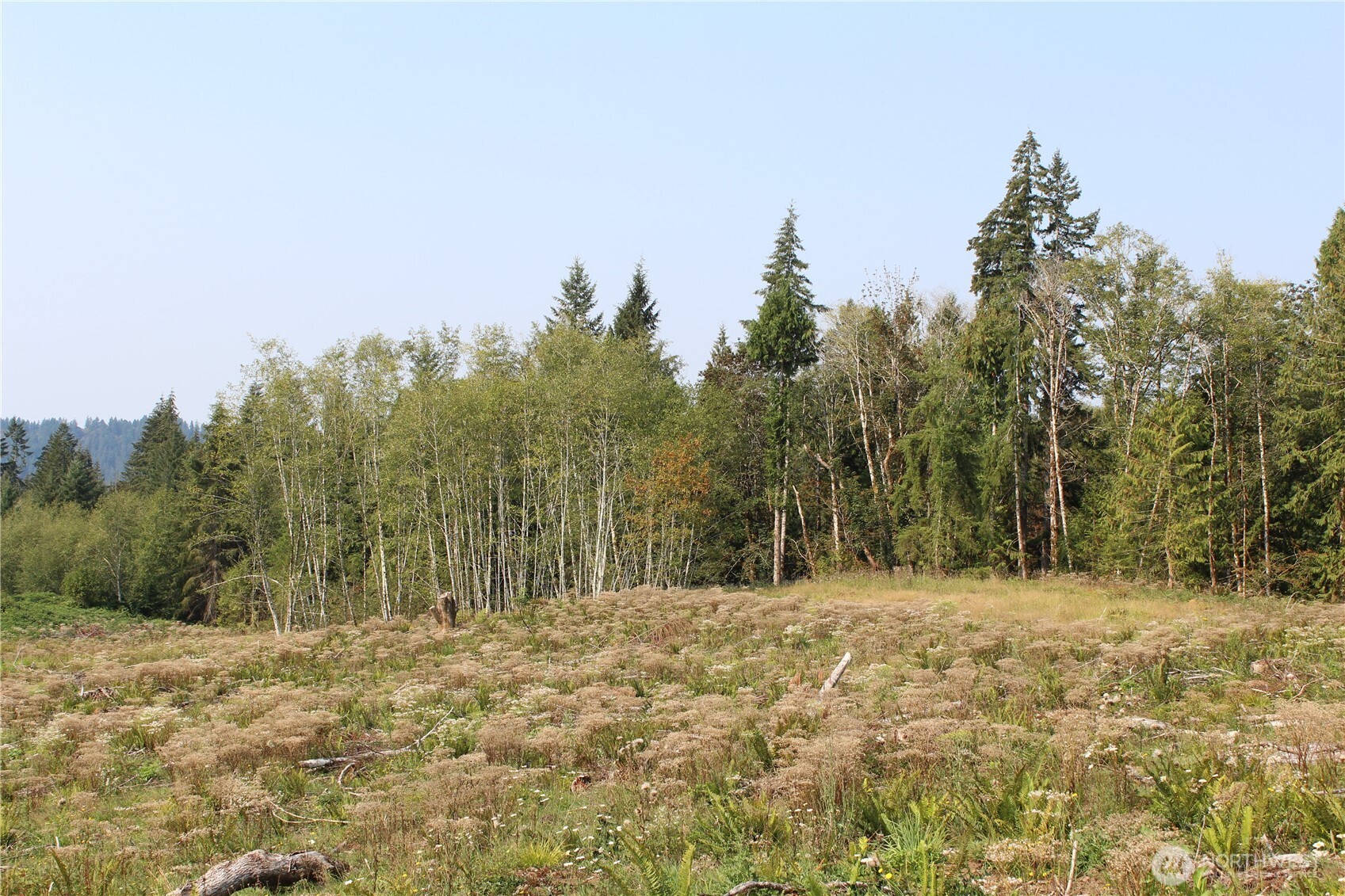 0 Cedar Creek Road , Oakville, WA 98568