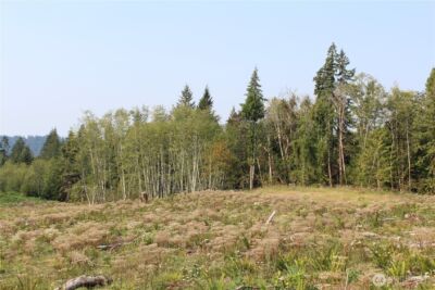 0 Cedar Creek Road , Oakville, WA 98568 - Photo 27