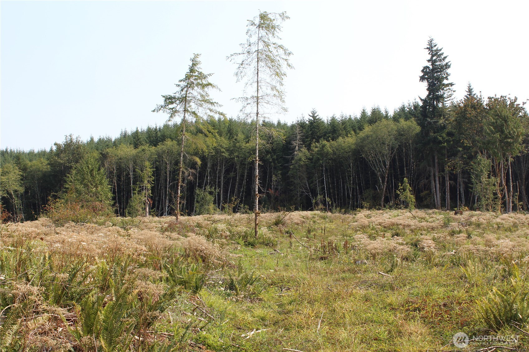 0 Cedar Creek Road , Oakville, WA 98568