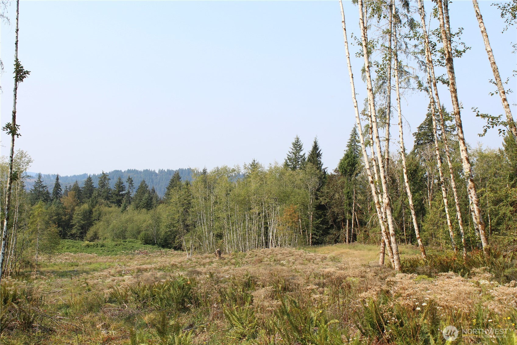 0 Cedar Creek Road , Oakville, WA 98568