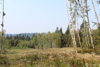 0 Cedar Creek Road , Oakville, WA 98568 - Photo 29