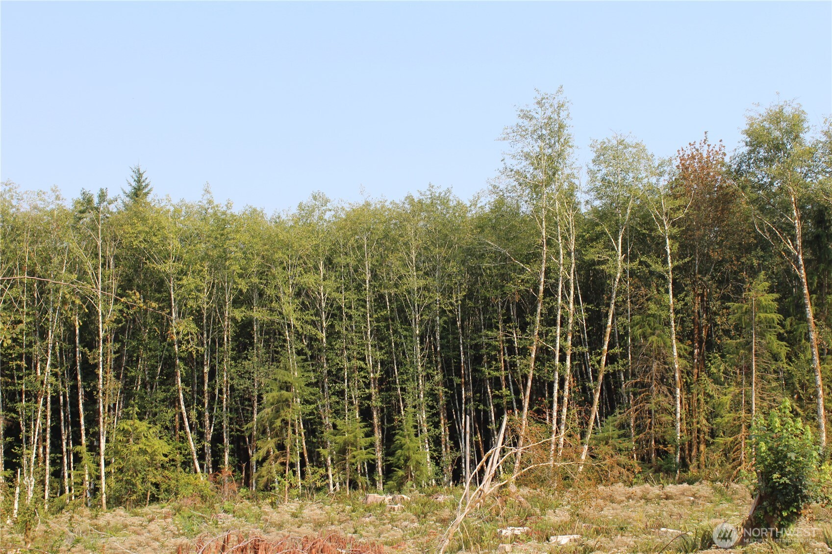 0 Cedar Creek Road , Oakville, WA 98568