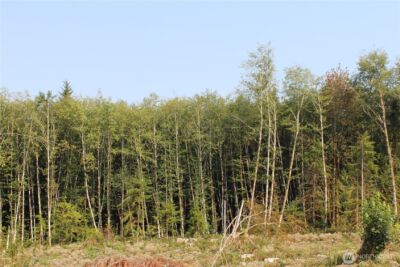 0 Cedar Creek Road , Oakville, WA 98568 - Photo 30