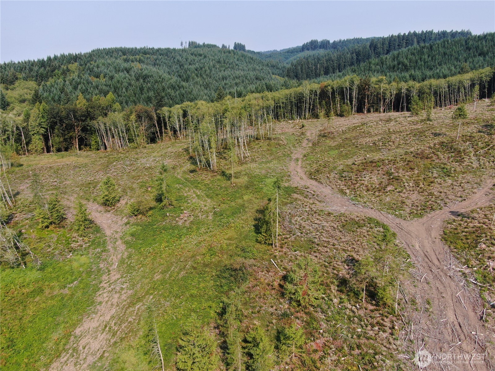 0 Cedar Creek Road , Oakville, WA 98568