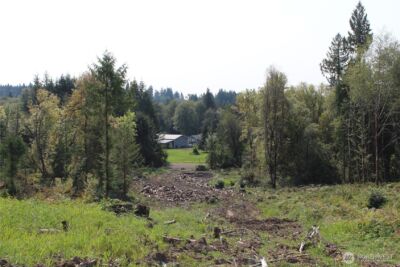 0 Cedar Creek Road , Oakville, WA 98568 - Photo 31