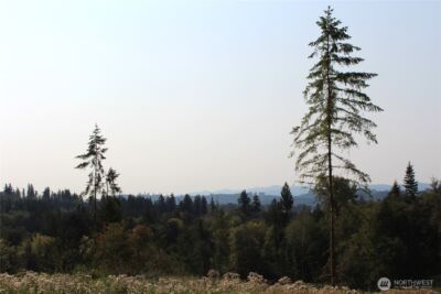 0 Cedar Creek Road , Oakville, WA 98568 - Photo 32