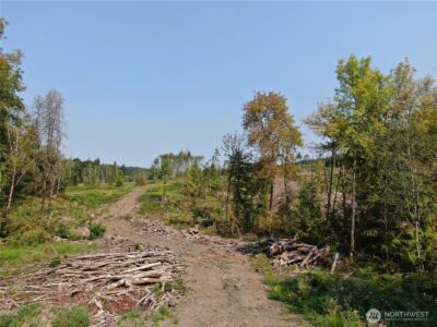 0 Cedar Creek Road , Oakville, WA 98568 - Photo 5