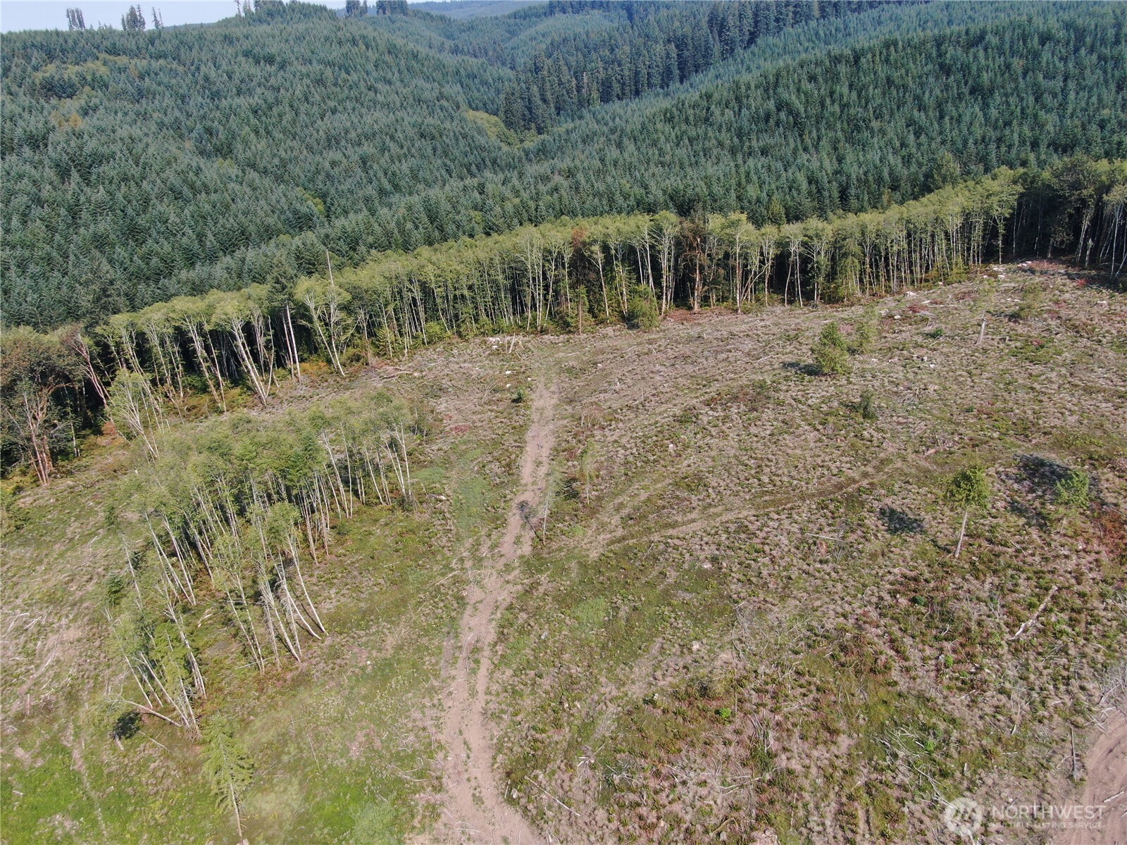 0 Cedar Creek Road , Oakville, WA 98568