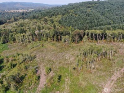 0 Cedar Creek Road , Oakville, WA 98568 - Photo 8