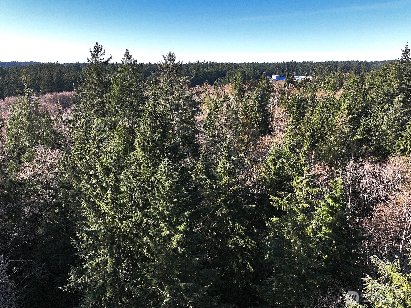 0 xxx SR 525 , Langley, WA 98260
