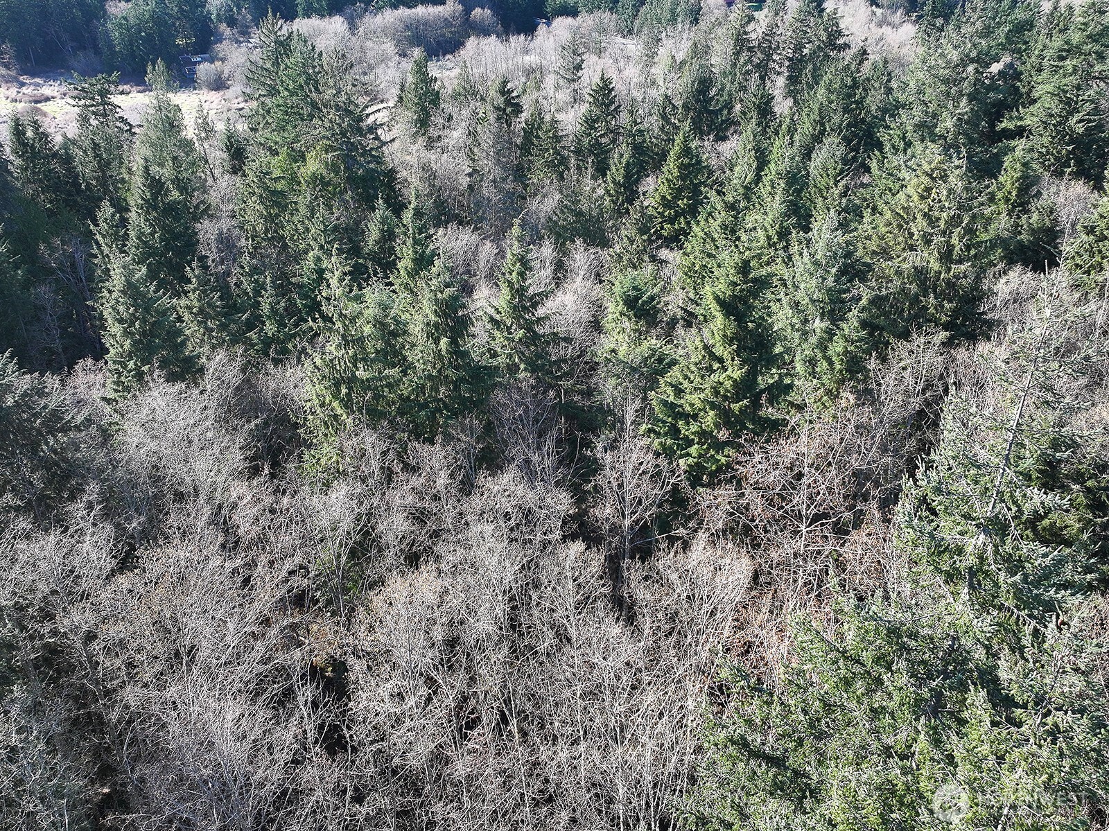 0 xxx SR 525 , Langley, WA 98260