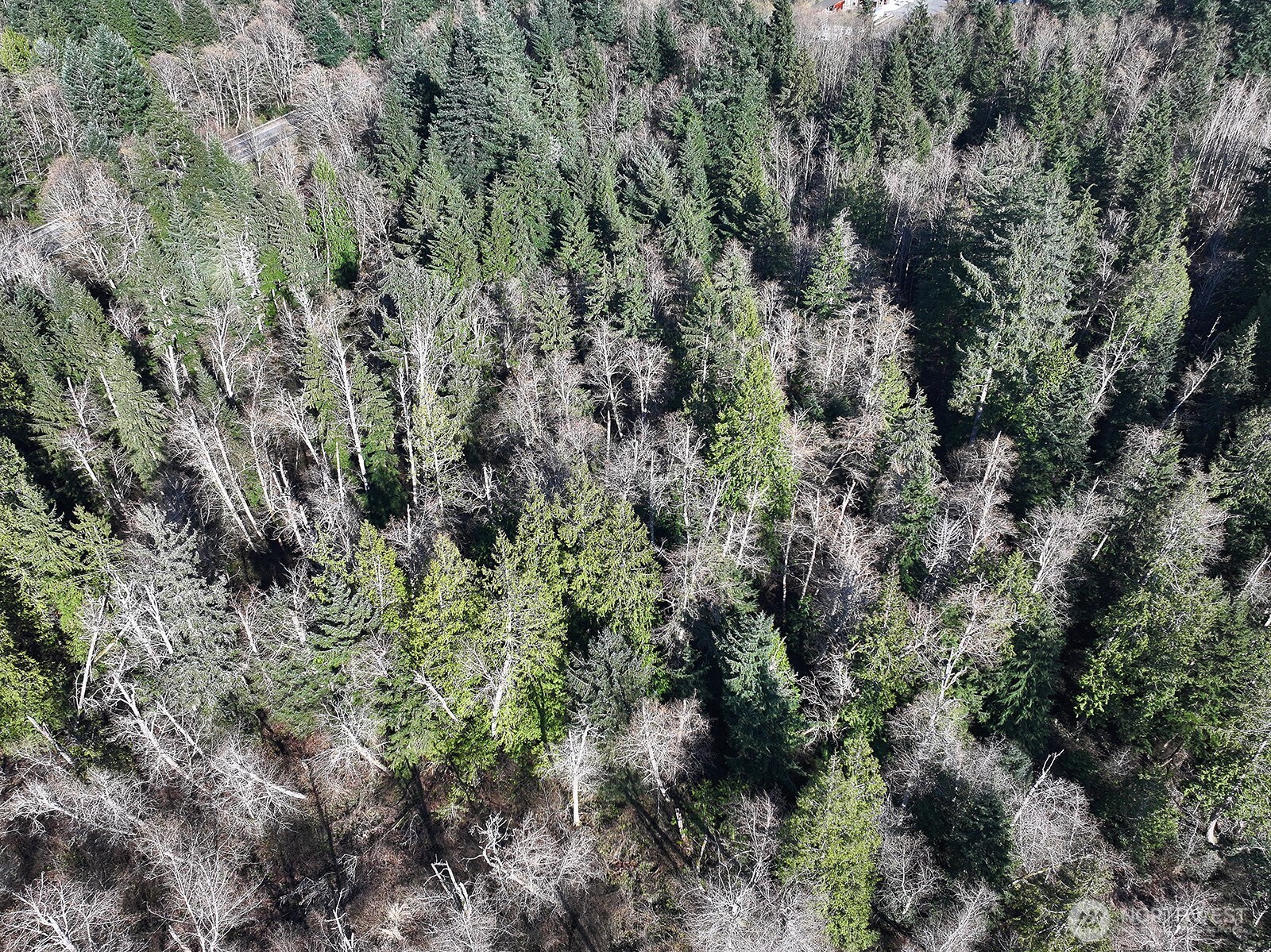 0 xxx SR 525 , Langley, WA 98260