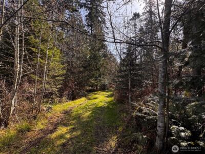 0 O'Brien Lot 1 Road , Port Angeles, WA 98362 - Photo 11