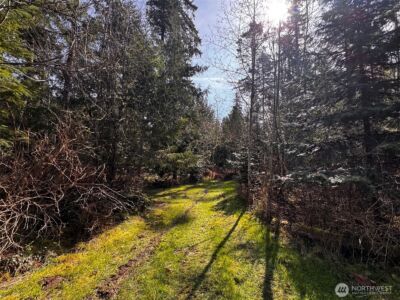 0 O'Brien Lot 1 Road , Port Angeles, WA 98362 - Photo 12