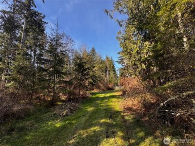 0 O'Brien Lot 1 Road , Port Angeles, WA 98362 - Photo 13