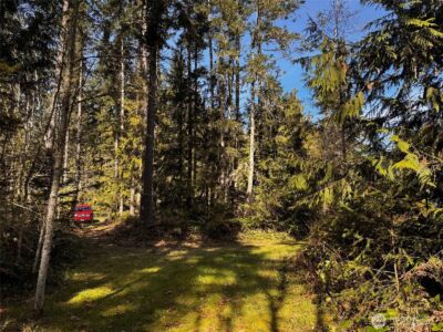 0 O'Brien Lot 1 Road , Port Angeles, WA 98362 - Photo 18