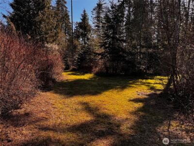 0 O'Brien Lot 1 Road , Port Angeles, WA 98362 - Photo 21