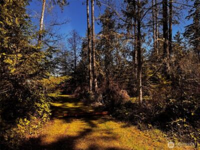 0 O'Brien Lot 1 Road , Port Angeles, WA 98362 - Photo 24