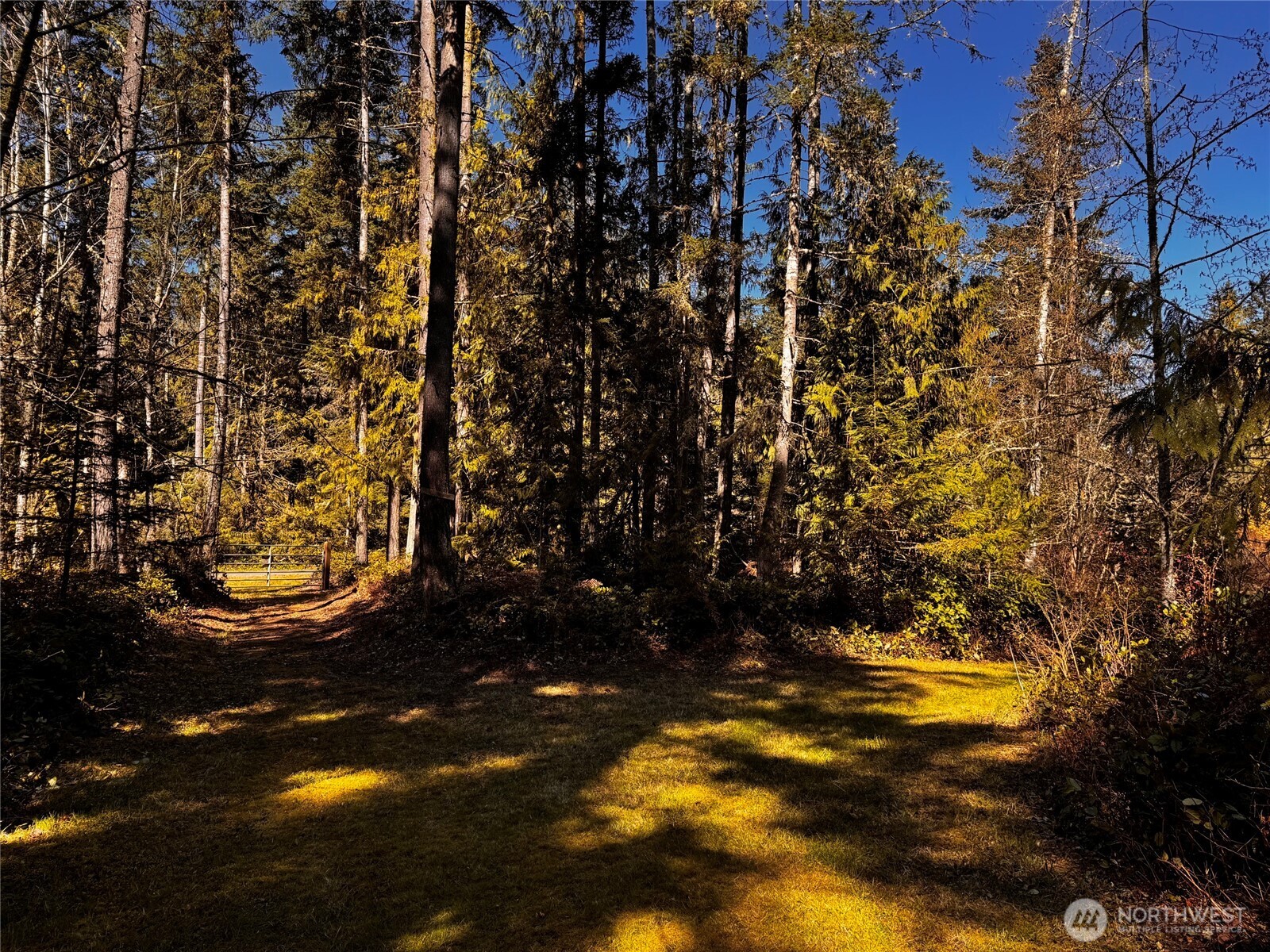 0 O'Brien Lot 1 Road , Port Angeles, WA 98362